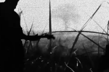 FRAGILE FIGURES Something that blocks the light