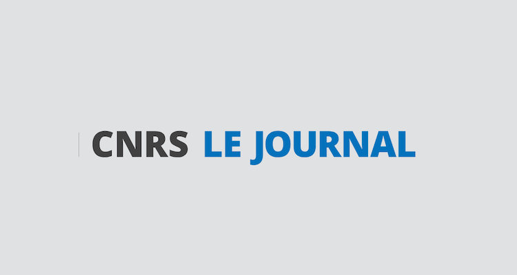 cnrs le journal le logo